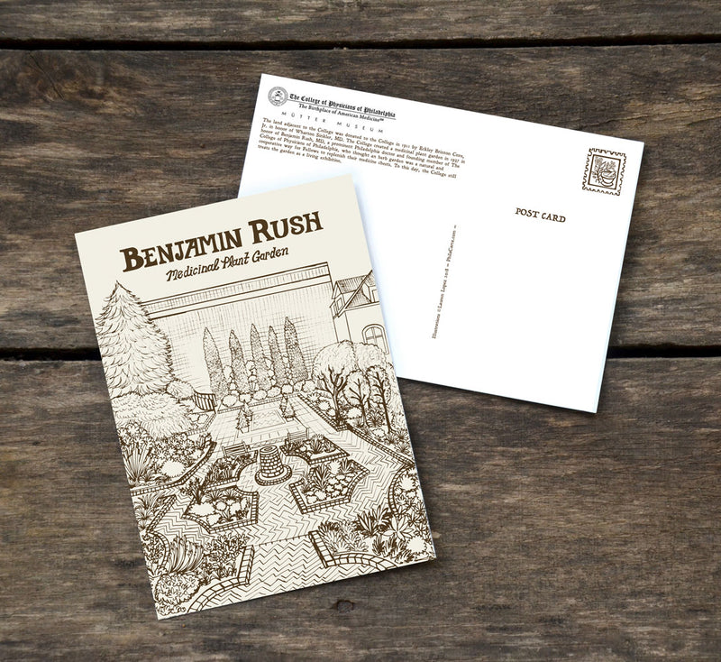 Benjamin Rush Medicinal Plant Garden - 5 x 7 inch Illustrated
